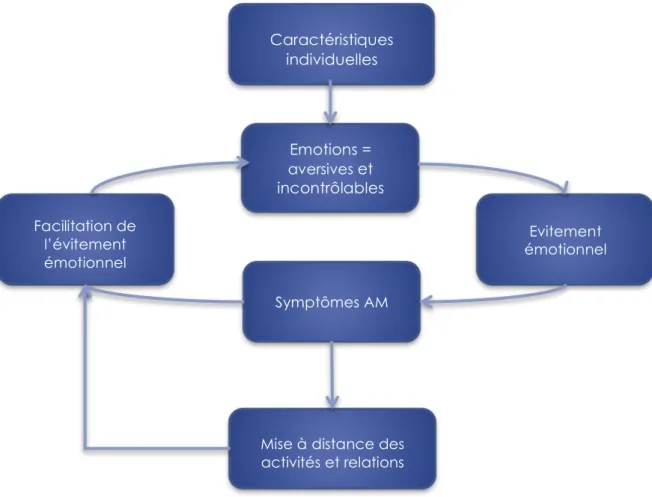 Figure  2 :  Modèle  EABT  de  l’évitement  émotionnel  –  Issu  de  Wildes  and  Marcus  (2011) 