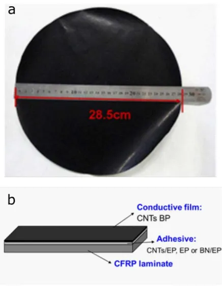 Figure 2.10: Disposition of the different layers in the prospective LSP system investigated by  Han et al