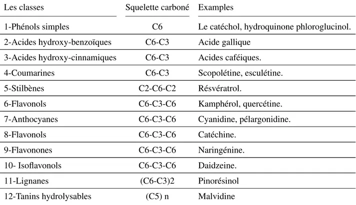 Tableau VI – Les principales classes de composés phénoliques (Macheix et al., 2006)