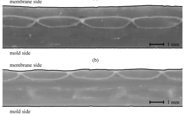 Figure 3-10 : Typical micrographs showing the difference in surface finish observed on the mold  and membrane sides: (a) Vf  = 52.1%; (b) Vf  = 57.6%