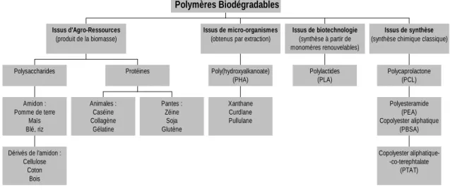 Figure 2-1 : Classification des polymères biodégradables