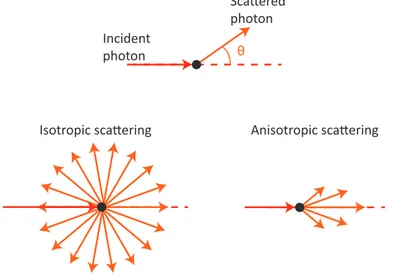 Figure 1.2 – Isotropic scattering and anisotropic scattering.