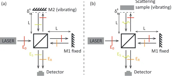 Figure 2.13 – (a) Michelson interferometer for the detection of the vibration of a mirror
