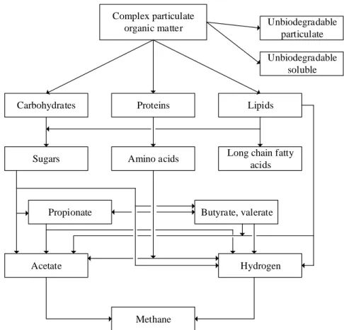 Figure 2.2: Simplified model of the anaerobic digestion process (modified from Batstone, 2002)  2.2.1.1  Hydrolysis  