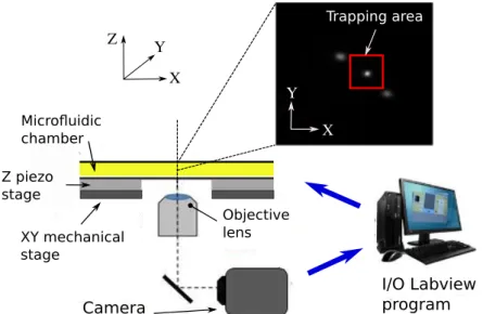Figure 6: Experimental set-up. The tracking systems consists of two super- super-posed stages mounted on an inverted microscope