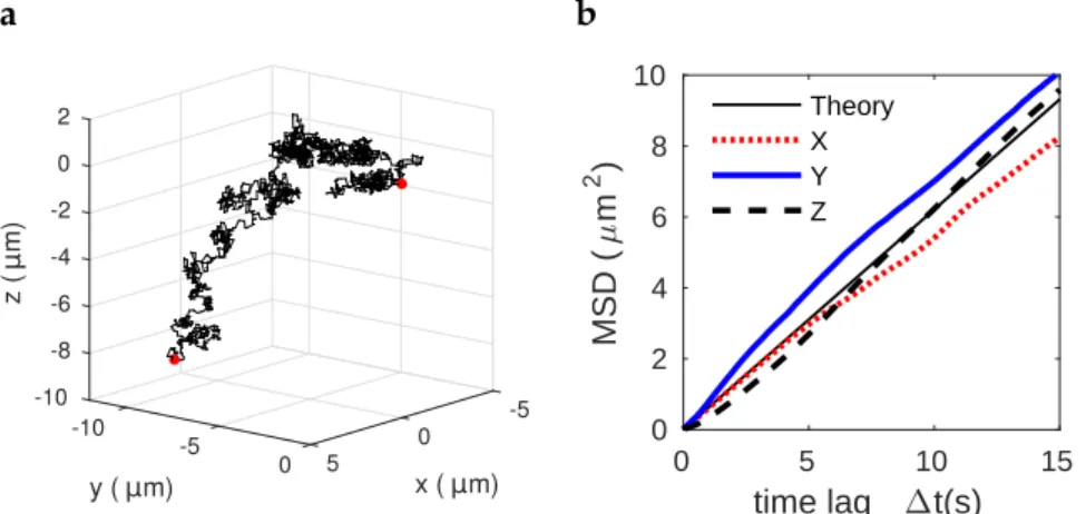 Figure 14: Tracking of a Brownian particle during sedimentation. (a) 3D tra- tra-jectory corresponding to 31s
