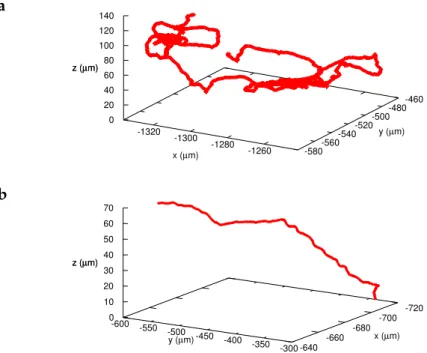 Figure 17: Variability within the bath of RP437 wild type swimmers. (a) Very tumbling bacterium tracked for 77s