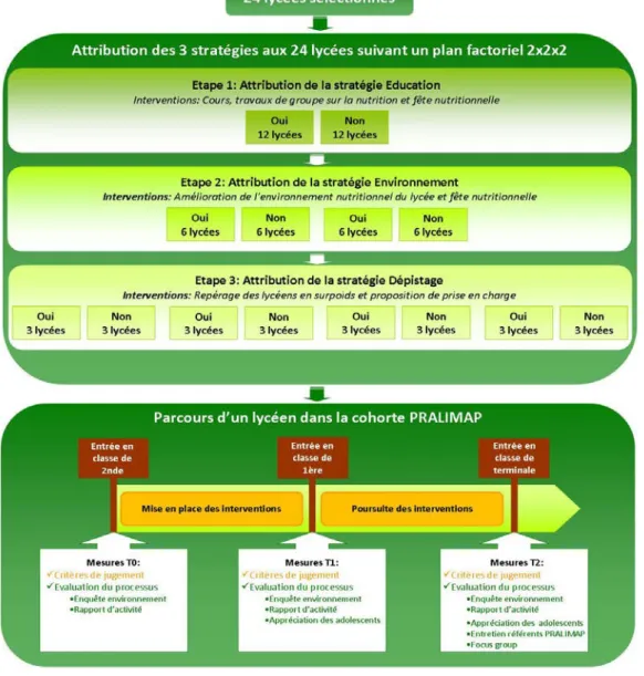Figure 7 : Schéma d'attribution des stratégies dans les 24 lycées lorrains 