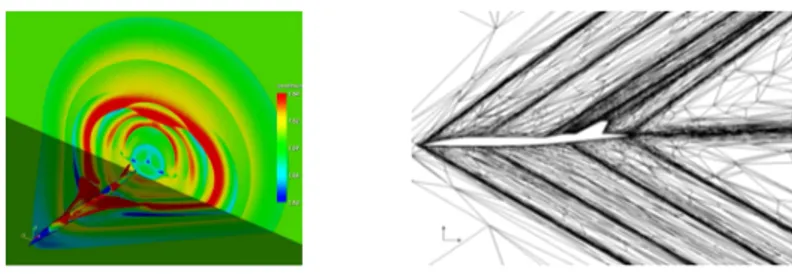 Figure 2 – Airflow around a supersonic plane, computed using a three dimensional highly anisotropic mesh