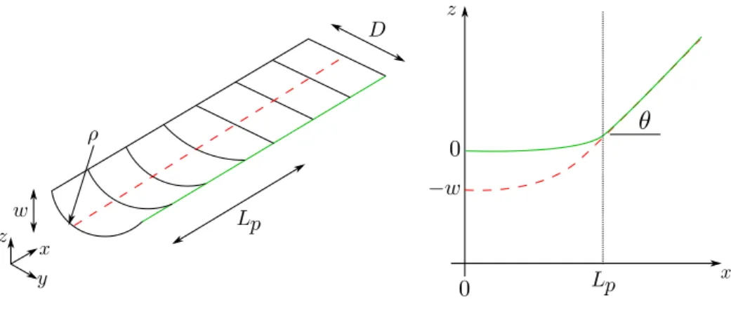 Figure 1.9 – Plaque élastique (de module de Young E, de coefficient de Poisson ν et d’épaisseur h) de largeur D soumise à une courbure imposée ρ à une extrémité, ce qui correspond de manière équivalente à une déflexion w