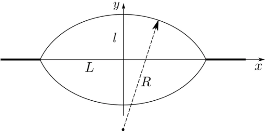 Figure 2.26 – Modélisation de la forme d’une cloque angulaire à deux pointes.