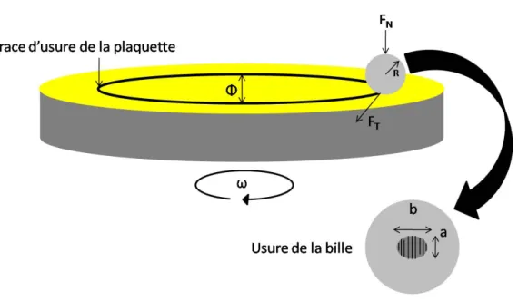 Figure 3.13 : Schéma du contact Pion/Disque avec les différents paramètres d’opération 