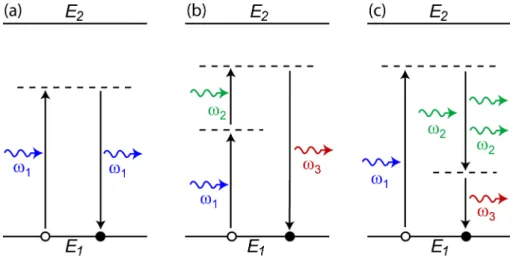 Figure 1.3  Transitions virtuelles dans un système à deux niveaux : a) transmis- transmis-sion, b) SFG, c) DFG (un photon incident de fréquence ω 2 provoque l'émission