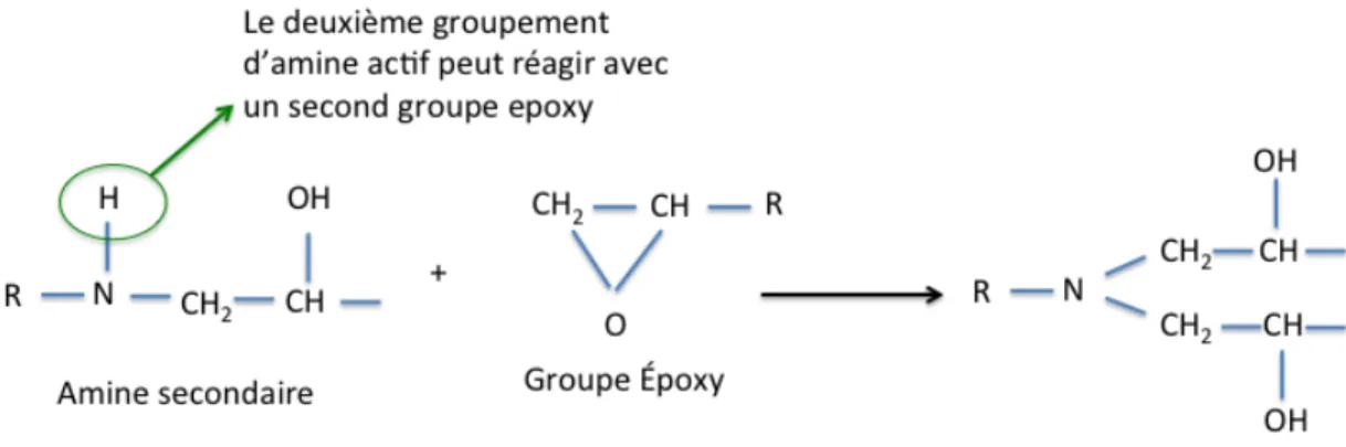 Figure 1-9: Réaction entre le groupe hydroxyle et un deuxième groupe époxy. 