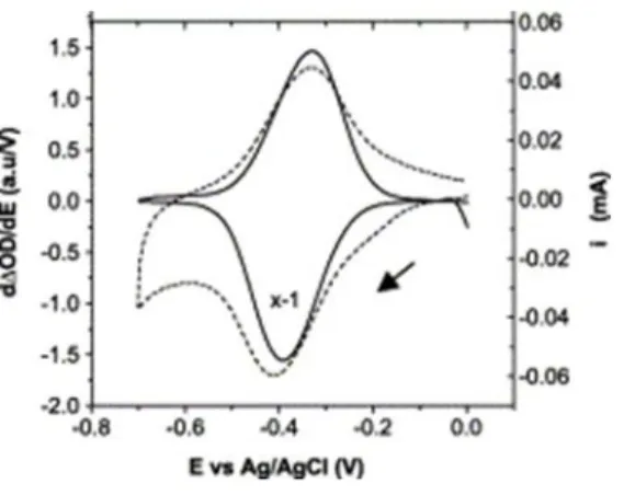 Figure 1 : CV (- - -) et DCVA ( ___ ) de la micropéroxydase 11 (MP-11) immobilisée sur des électrodes de SnO 2 