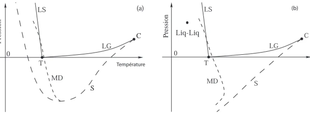 Fig. 2.2 – Fig. (a), le minimum de la spinodale pr´evu par Speedy `a l’hypoth´etique croisement de la ligne α = 0 et de la spinodale