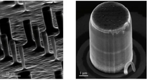 Figure 1.7 – MEB image of micro-pillars. Reprinted ﬁgure from [ 55 ], with the author’s permission.