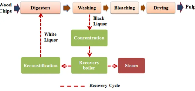 Figure 1-1: Simplified diagram of the conventional Kraft pulping process  (Marinova et al., 2009) 