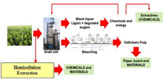 Figure 1-2: Bio-refinery concept (Longue Júnior et al., 2013) 