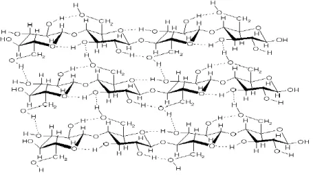Figure 2-2 : Cellulose structure (Stöcker, 2008) 