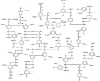 Figure 2-5: The structure of lignin (Kumar et al., 2009)  2.1.4  Extractives and ash 