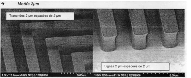 Figure 1.21 Les photos de MEB montrent les profils de la couche de résine SPR220-3 après le  développement (fourni par la compagnie Rohm and Hass Electronic Materials)