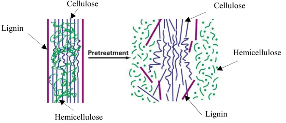 Figure 2.5: Schematic of pretreatment (modified based on [32]) 