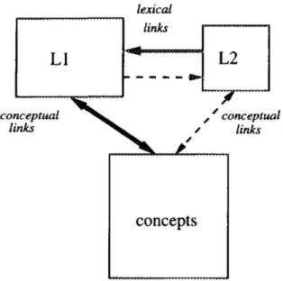 Figure  1.  The  Revised  Hierarchical  Model  (RHM)  of  lexical  and  conceptual  representation in bilingual memory (Kroll &amp;  Stewart,  1994)