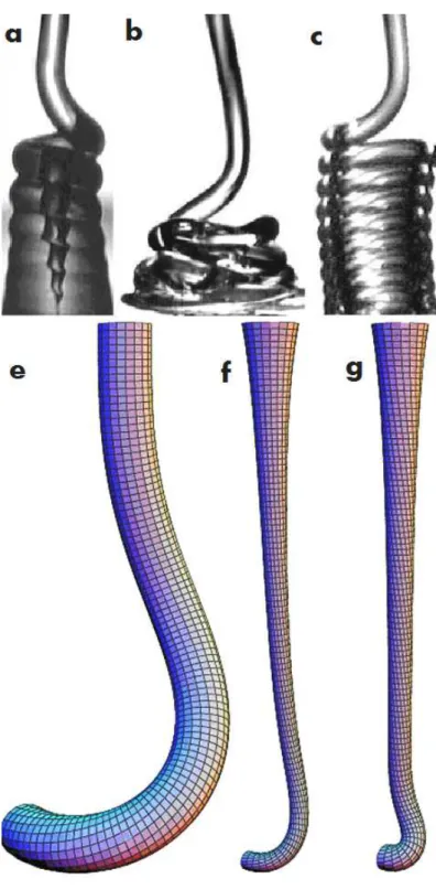 Figure 2.4: Different coiling regimes. (a) Viscous regime: coiling of silicone oil with ν = 1000 cm 2 /s, injected from an orifice (top of image) of radius a