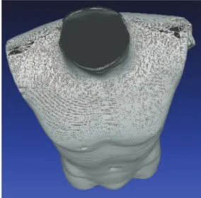 Figure 1.2 Reconstruction 3D de la surface du tronc du mannequin contient des trous.
