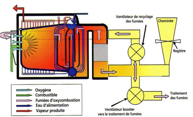 Figure 1-10 : Schéma de l’installation de captage par oxycombustion opérée par Total à Lacq en  France (source IFP [2]) 