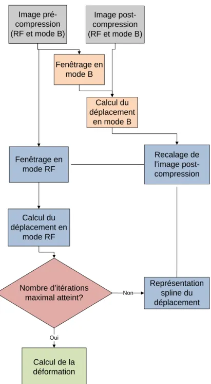 Figure 3.2 : Algorithme de base combiné à une première estimation du déplacement sur l’image  en mode B