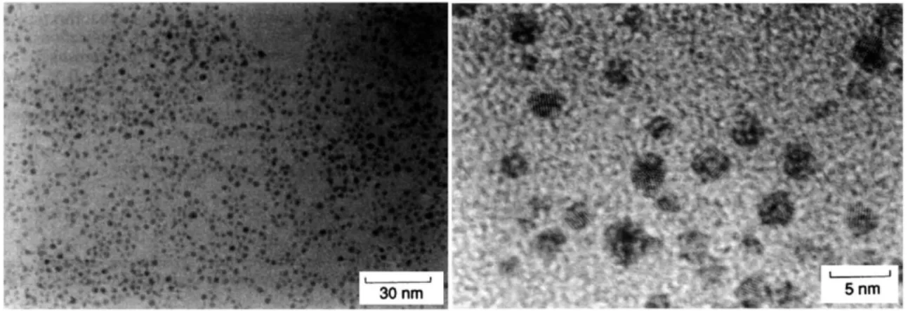 Figure 2-6 : Nanoparticules d'or d’un diamètre de l’ordre de 1 à 3 nm   recouvertes d'un thiol (C 12 H 25 SH) [10] 