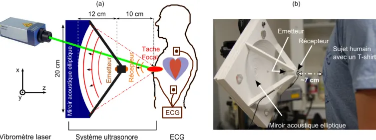 Figure 2.10 : (a) Sch´ ema exp` erimental. Utilisation de deux m´ ethodes de r´ ef´ erence : le vibrom` etre laser mesurant le signal m´ ecanique et l’electrocardiogramme enregistrant le signal ´ electrique