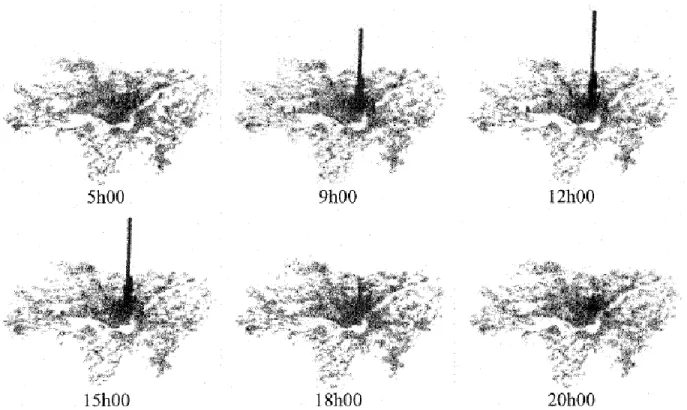 Figure  2.4  An  animation  based  on  OD  survey  data  of  the  Greater  Montréal  Area  (taken  from  Morency, 2004)