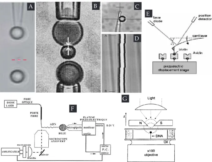 Figure 4.1: Dispositifs de micromanipulation : A. [71] Une micropipette piège une microbille en silice par succion en face d’une bille piégée par une pince optique (piège invisible) B
