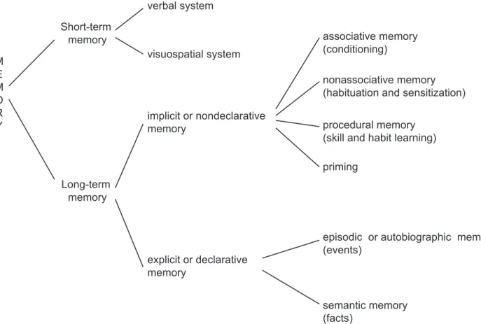 Figure  I.8:  Classification  of  the  different  forms  of  memory.  The  different  components  of  memory  are illustrated in this diagrammatic representation