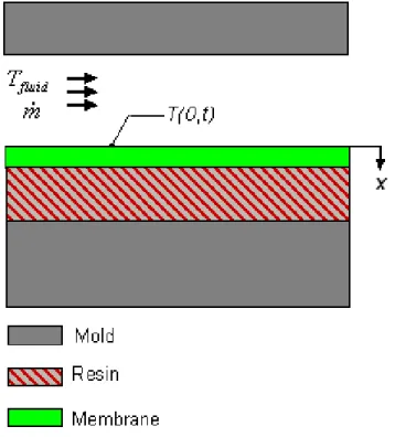 Figure 4-2: Longitudinal cross-section of the mold numerical model under the forced convection  of the compaction fluid 