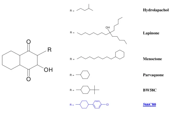 Figure 6 : Evolution de la structure des hydroxynaphtoquinones. 