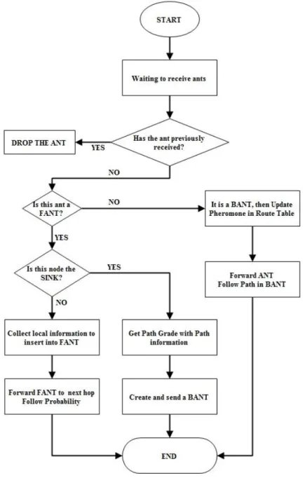 Figure 3.3 Route Discovery Process of AntSensNet