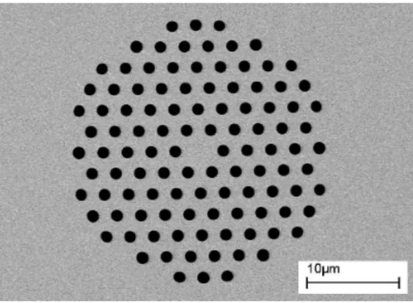 Figure 1.1 Image de la fibre T431C prise par un microscope ´electronique ` a balayage.