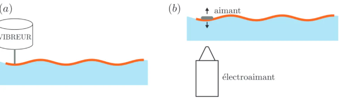 Figure 1.4 – (a) Sch´ema du montage exp´erimental utilisant un pot vibrant comme point source