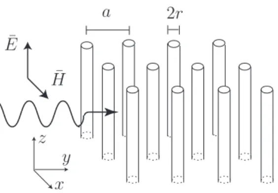 Figure 2.1 Structure p´eriodique 2D constitu´ee d’une matrice carr´ee de fils m´etalliques de rayon r et de p´eriode a