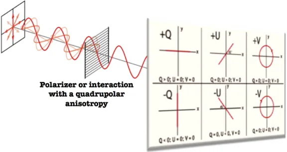 Figure 2.4: On the left, it is shown the effect of a linear polarizer or an interaction (Compton scattering for instance) pictured as a grid on an incident unpolarized light: the scattered light is linearly polarized