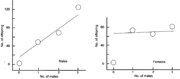 Figure 1.1 – Le gradient de Bateman. Dans cette expérience menée chez la drosophile,