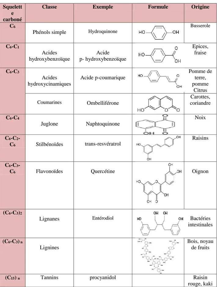 Tableau III: Les principales classes de composés phénoliques.  Squelett