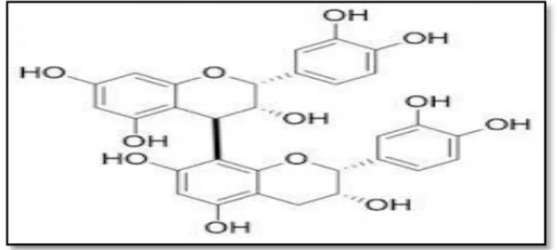 Figure 7: Structure de tanin condensé (procyanidine B2) (Ropiak et al., 2017).  1.2.5  Lignines et les lignanes  