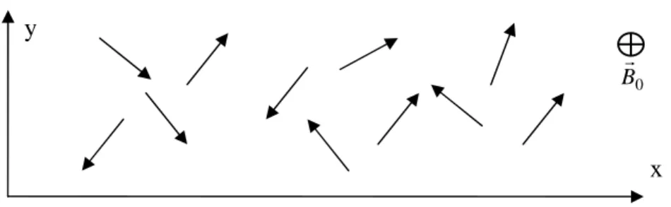 Figure 1.5: The random phases of the transverse component of spin vectors gives a null  average magnetization 