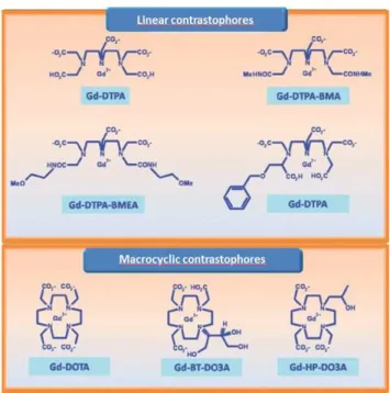 Figure 1.7: Some of the most widespread gadolinium based MR contrast agents 