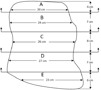 Figure 2.25 : Schéma des coupes dans le bloc de remblai in situ (adaptée de Ouellet et al., 1995)